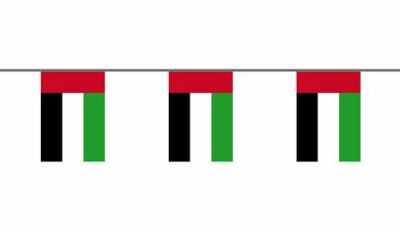 Fahnenkette Flagge Fahne Vereinigte Arabische Emirate Flaggenkette 6 m 8 Flaggen