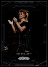 2024 Panini Prizm Miss Elizabeth #149