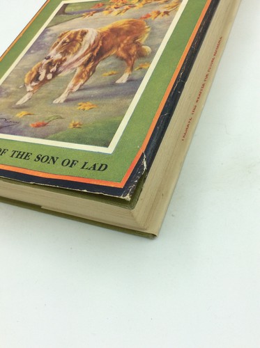 WOLF - Albert Payson Terhune - Rare true 1925 printing in dustjacket and box! - Picture 8 of 9