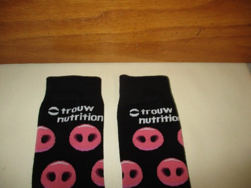 SHUR-GAIN TROUW NUTRITION CHICKEN + EGG & PIG SNOUT SOCKS (Smaller) : FARM - Picture 9 of 9