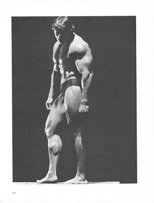 Arnold Schwarzenegger Flexes 8x11 Page from Pumping Iron