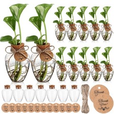 12 PCS Big 10oz Plastic Plant Propagation Stations Hole Lid Planter Vase