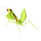 Bandai Gashapon Mantis 04 Action Figure 05 Chinese Reddish Mantis juvenile 11cm