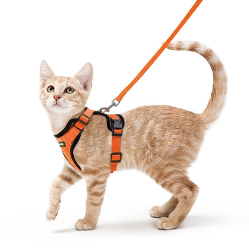 rabbitgoo Cat Harness and Lead Escape Proof Adjustable Reflective Vest Orange - Picture 11 of 12
