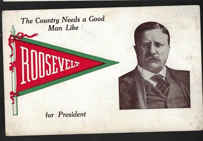 1912 Teddy Roosevelt Presidential Campaign Pennant Postcard Many Diffrent Styles