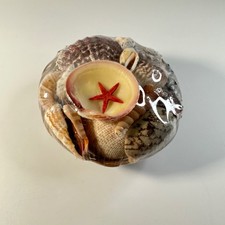 Basket of Sea Shells