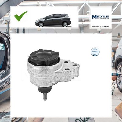 Lagerung, Motor Rechts Meyle für Ford Focus DAW, DBW 1.6 16V