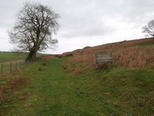 Photo 6x4 Bowls Lane continues as a green lane across Eglwysilan Common A c2017