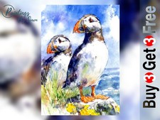 Papageientaucher Paar Aquarell Druck 5x7 | Britische Tierwelt K&uuml;stenvogel Kunst