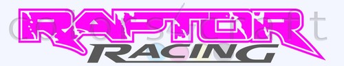 Ford Raptor Racing Sticker Decal Graphics Decals Custom Car SUV Pickup Ford - Picture 11 of 17