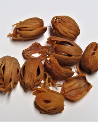 (1kg=133,33 ) 30g BIO Muskatblüten ganz - Macis - DE-ÖKO-005