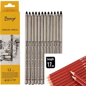 Featured image of post Bianyo Pencils Camlin charcoal vs bianyo charcoal pencil