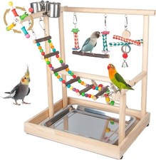 Small Bird Playground Parakeet, Medium, red,blue,green,white, yellow