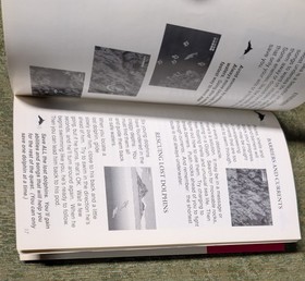 Ecco the Dolphin (Sega CD, 1992) Manual Instruction Booklet ONLY *NO GAME*