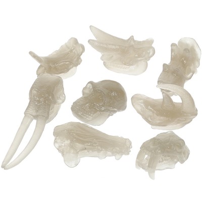  1 Satz Dinosaurierschädel, im Dunkeln leuchtende Dinosaurierknochen,