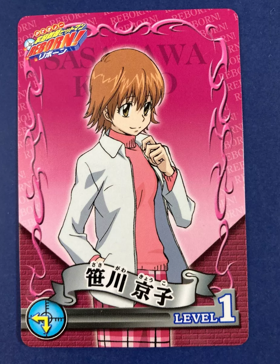 Katekyo Hitman Reborn ! Chrome card Japanese Anime Very Rare F/S