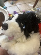 Keel Toys Border Collie Dog Plush Stuffed Animal 9" Signature Forever Puppies