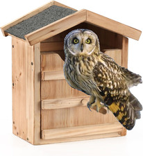 Owl House Prebuilt Box for outside Screech Owls  Kestrels - Large Handmade Wood