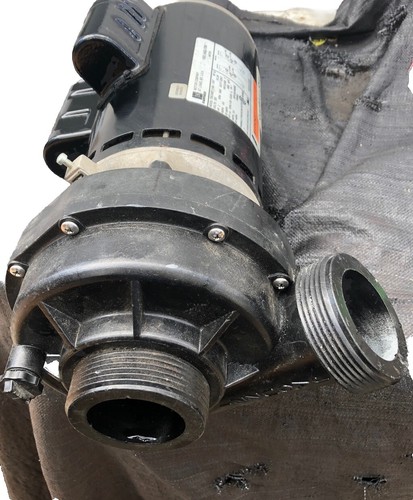 Sundance, Jacuzzi Spas (Theraflo) 45 Degrees Pump 230 V 2 Speed ( Repaired )