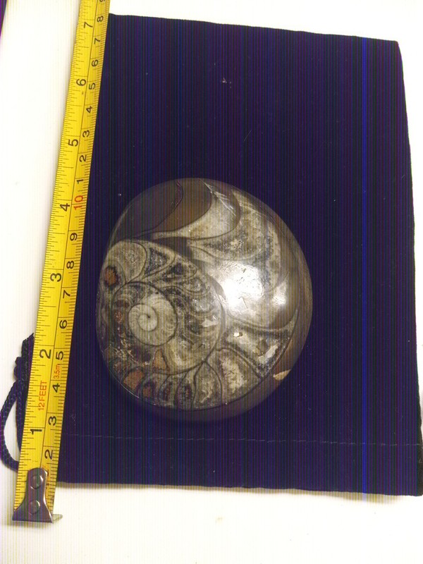 Lot 3Lb Stones,outstanding Petrified Stone Ammonite Fossil,agate,turquoise More