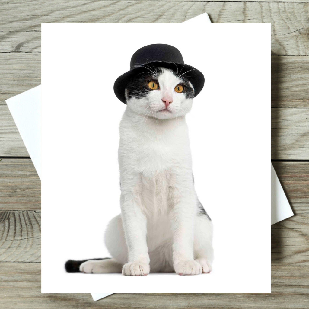 Funny Cat in a Black Bowler Hat Humorous Greetings Card Cat Lovers Glitter Card