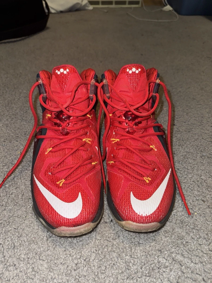 Nike LeBron 12 Elite Team | eBay