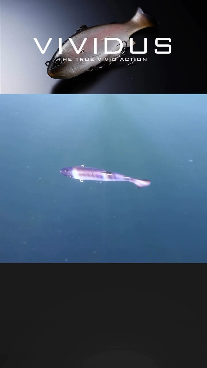 JACKALL VIVIDUS Classical Baits Color 1.8oz Swimbait Floating 2025 new item - Image 5