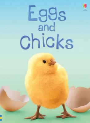 Eggs and Chicks By Fiona Patchett