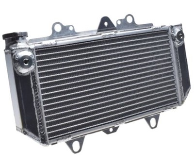 Kühler Wasserkühler Motorkühler für Quad ATV YAMAHA YFZ 450 2004-2009 2012-2013