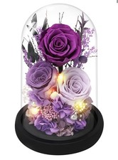 Casaido Preserved Roses In Glass Dome, Purple
