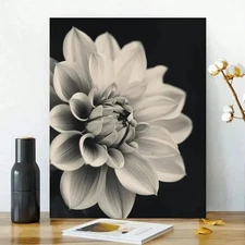 Dahlia Flower Framed Canvas Stretched Ready to Hang 50x40 Home decor Gift