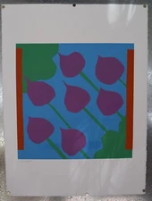 Beets Vegetables Graphic Pop Art Lithograph Print Signed Numbered Ann Dudrow 198