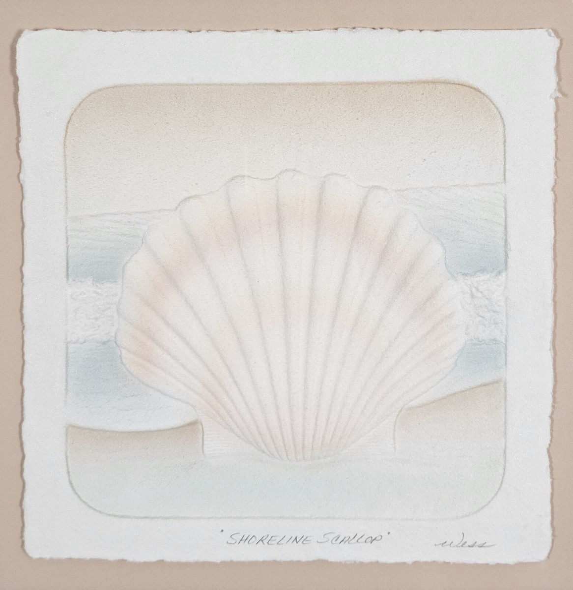 Shoreline Scallop Artist Signed Wess Dahlberg Cast Paper Art
