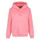 Light And Shade Womens/Ladies Hoodie (PB357)
