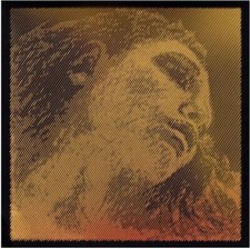 Pirastro Violin Evah Pirazzi Gold Set, Medium Gold Ball - 4/4- USA Dealer