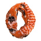 Foto 7 di 8