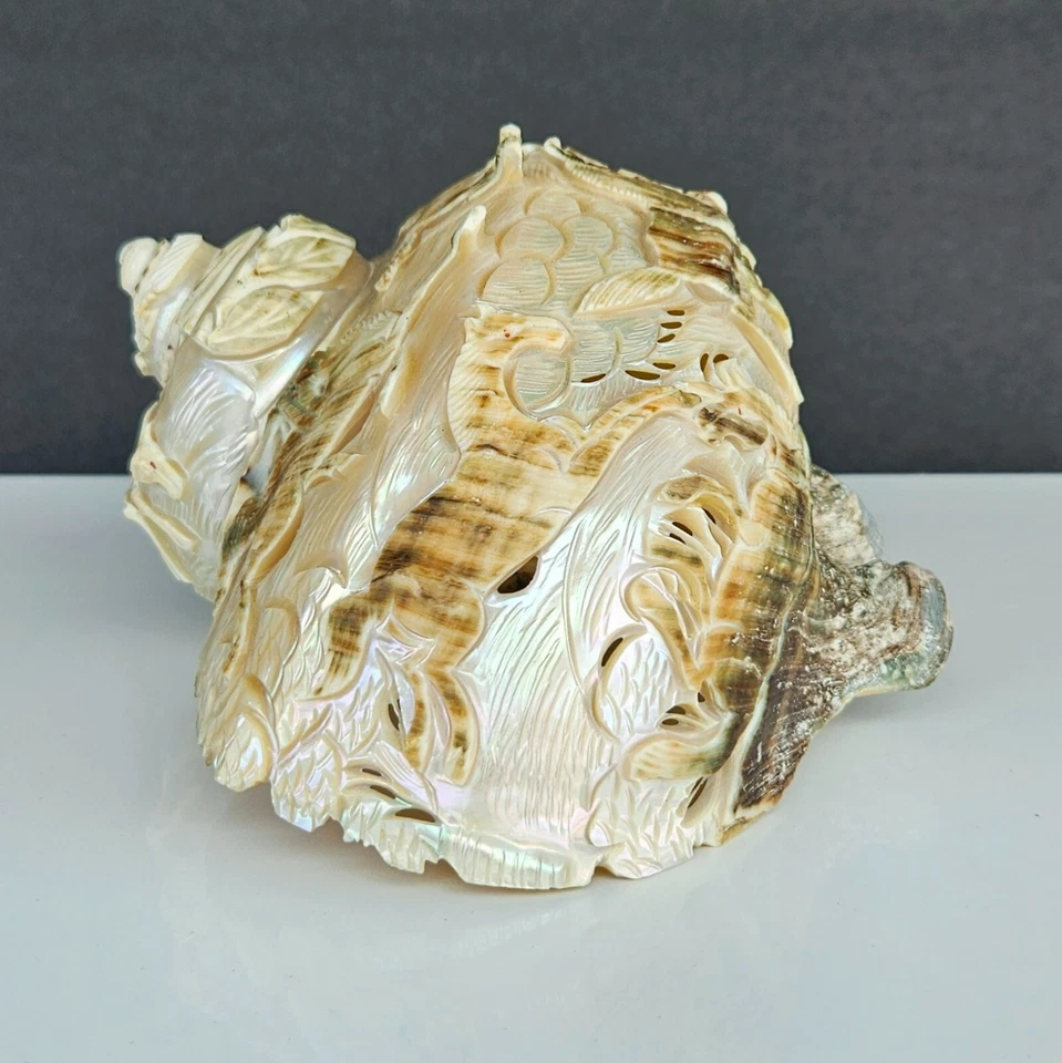 Antigua escultura vintage de concha de mar de caballos tallados con turbante verde turbo mármol Foto 4 de 4