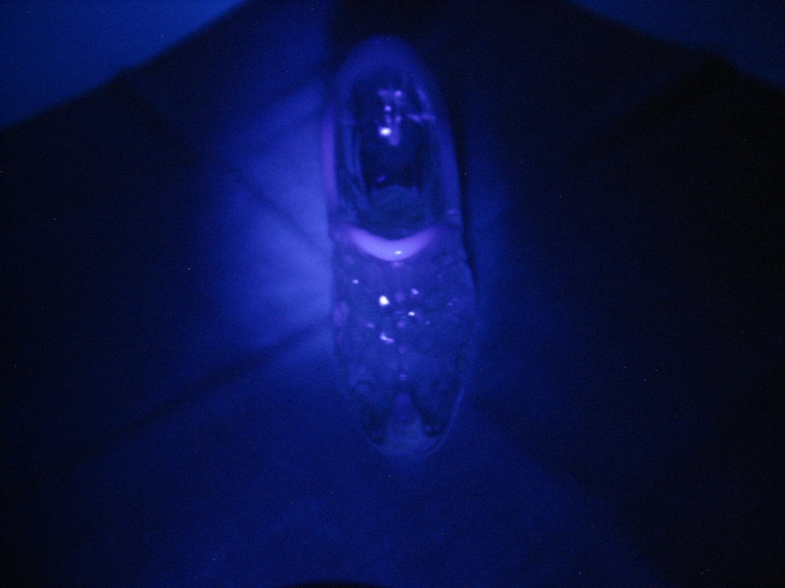Picture 14 of 14