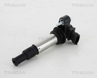 Triscan ZüNdspule 8860 10017 FüR Alfa Saab Cadillac Opel Vectra Caravan Z02 CC