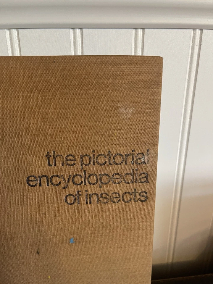 Vintage 1969 The Pictorial Encyclopedia of Insects By V.J Stanek Entomology - Image 2 of 4