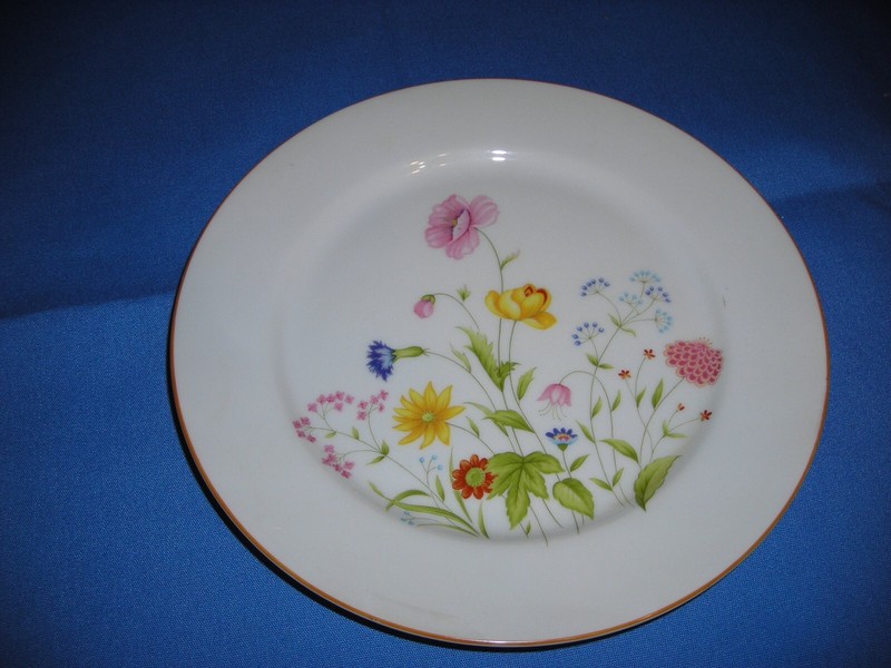 Mikasa Stratford Luncheon Plate NITA design collection 