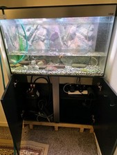 Fish Tank 
