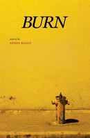 Burn Andre Bagoo Taschenbuch Kartoniert / Broschiert Englisch 2015