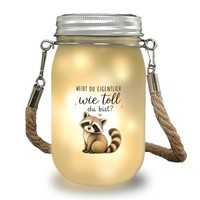 Solarlicht WaschbäR - Niedlichem WaschbäR Motiv Solarlampe Mit Spruch: WeißT Du