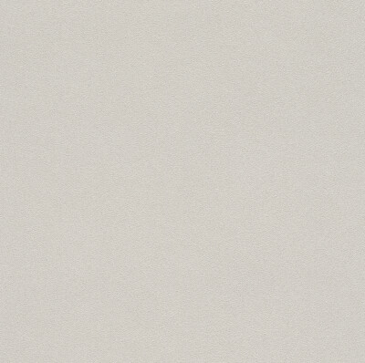 Rasch Tapete Wall Textures Vol. IV 479430 Beige Uni Vliestapete Vlies