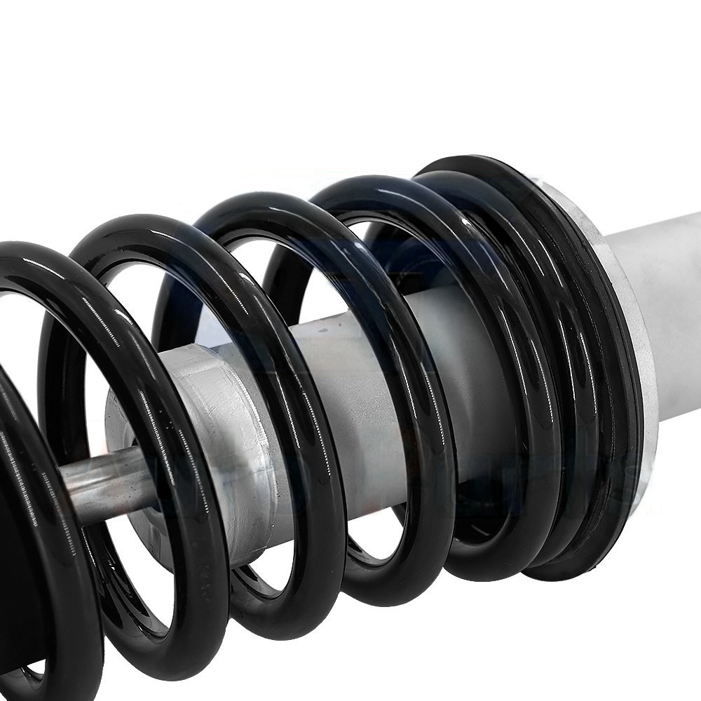 2 Front Shock Absorber Struts Fit Maserati Quattroporte M139 Sport 226147 248255