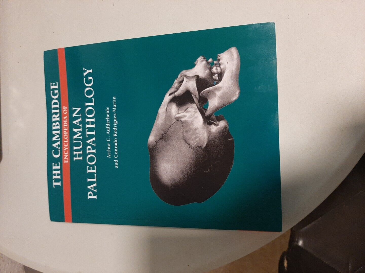 Thumbnail - The Cambridge Encyclopedia Of Human Paleopathology Paperback