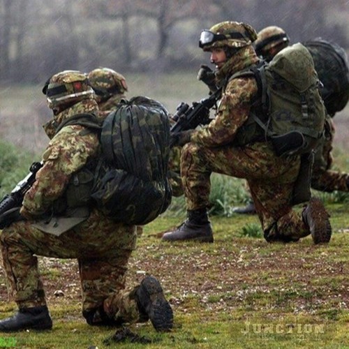 59"W Vegetato Camo Resistant Ripstop Water Repellent Fabric Camouflage - Picture 8 of 9