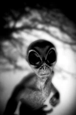 Alien Face Creepy Scary Face Black White Photo UFO Art Print Poster 12x18
