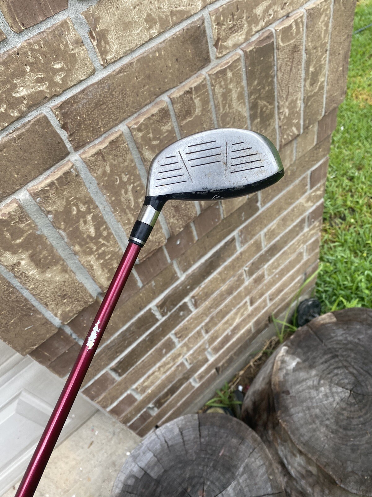 Picture 5 of 12